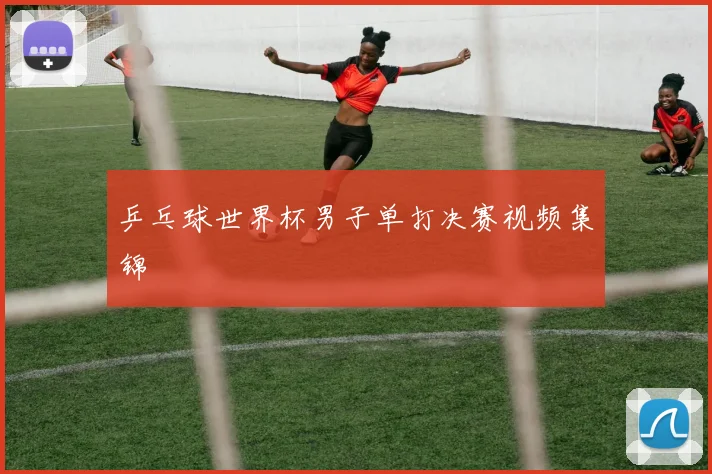 乒乓球世界杯男子单打决赛视频集锦