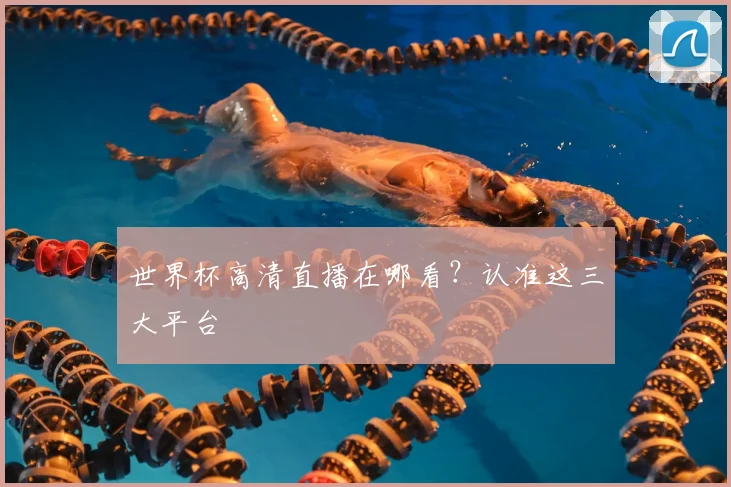 世界杯高清直播在哪看?认准这三大平台