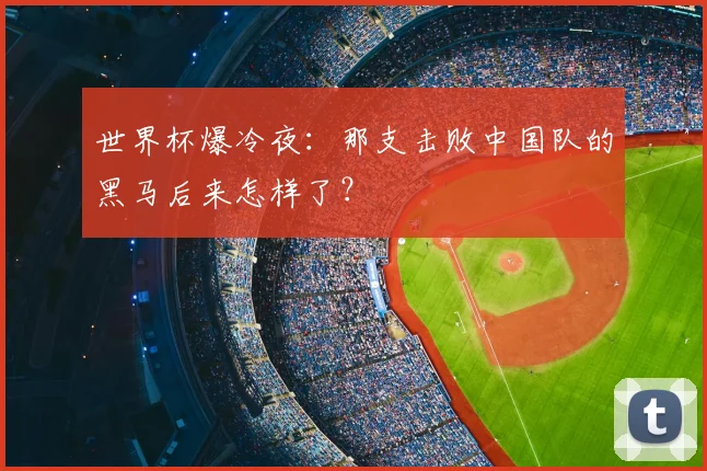 世界杯爆冷夜：那支击败中国队的黑马后来怎样了？