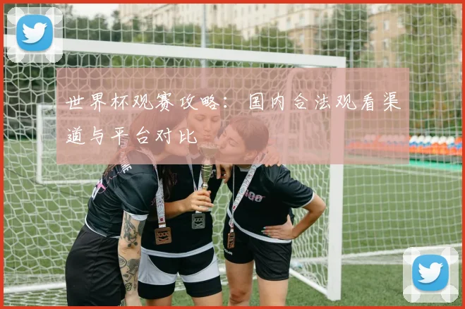 世界杯观赛攻略:国内合法观看渠道与平台对比