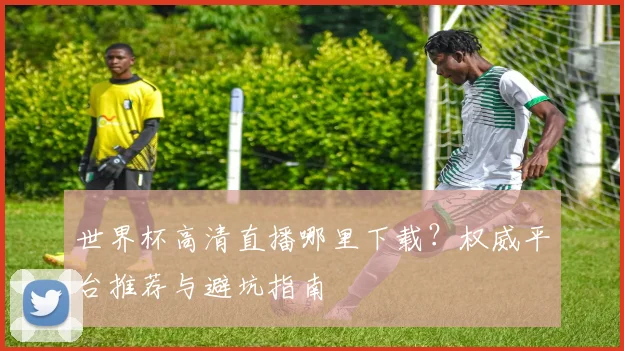 世界杯高清直播哪里下载？权威平台推荐与避坑指南