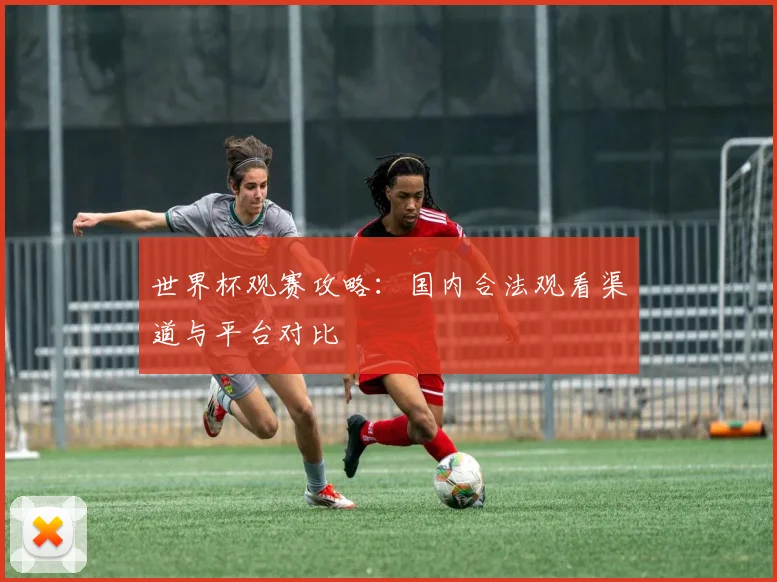 世界杯观赛攻略:国内合法观看渠道与平台对比
