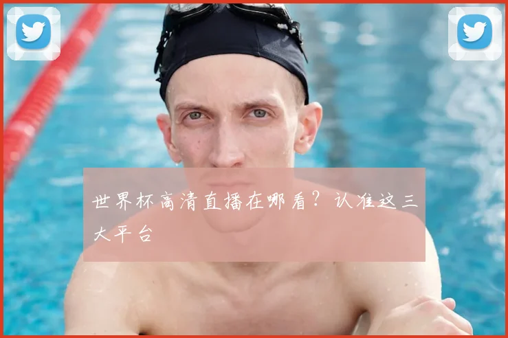 世界杯高清直播在哪看?认准这三大平台