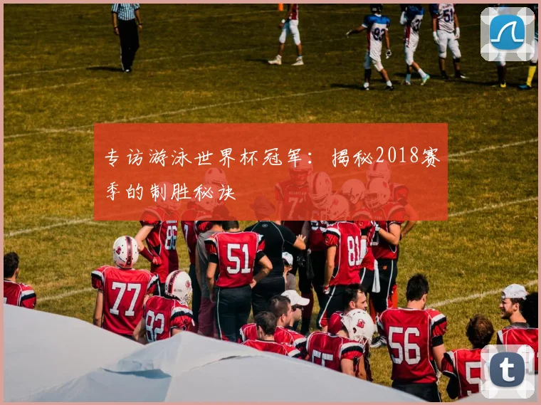 专访游泳世界杯冠军:揭秘2018赛季的制胜秘诀