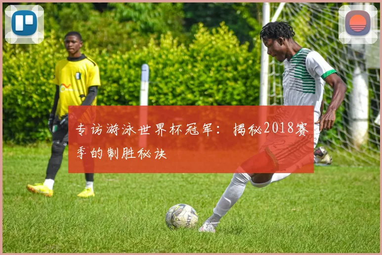 专访游泳世界杯冠军:揭秘2018赛季的制胜秘诀